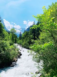 River amidst trees in forest against sky