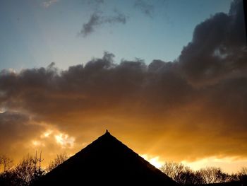 Silhouette of trees against cloudy sky