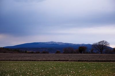 Scenic view of field against sky