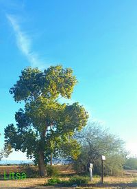 Scenic view of grassy field against sky