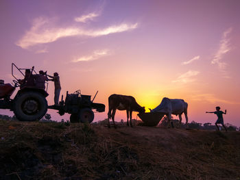 Horse cart on field against sky during sunset