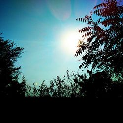 Low angle view of silhouette trees against sky