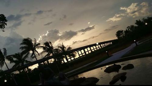 Palm trees on beach against sky