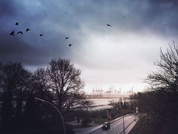 Bird flying over cloudy sky