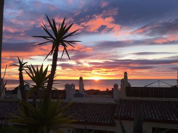 Silhouette tree and cityscape against sky during sunset