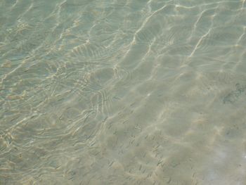 Full frame shot of swimming pool