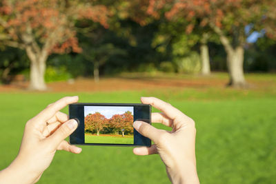 Midsection of person photographing through mobile phone in park