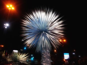 Low angle view of firework display at night