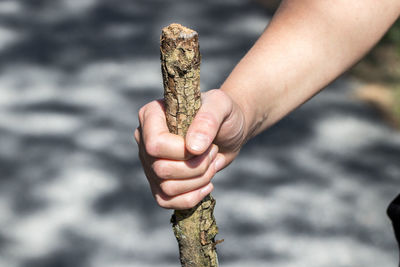 Close-up of hand holding stick