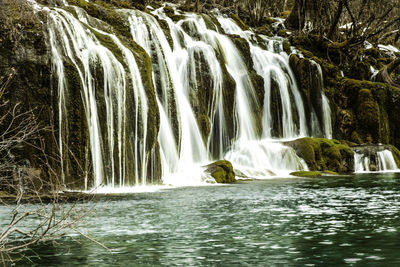 Scenic view of waterfall in forest