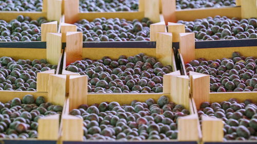 Various fruits for sale at market stall