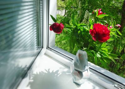 Close-up of red flower vase on window sill