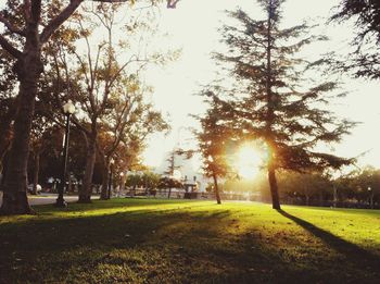 Scenic view of grassy field against sky at sunset