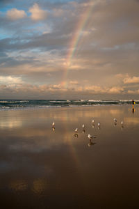 Scenic view of sea against sky during sunset and rainbow