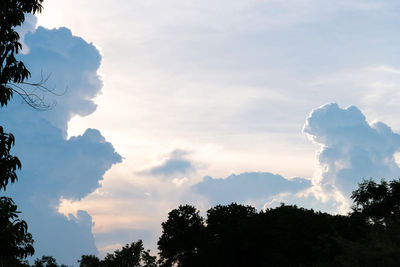 Low angle view of silhouette trees against sky