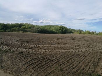 Scenic view of field against sky