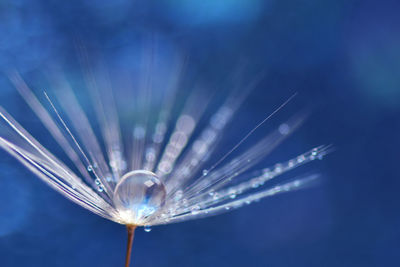 Close-up of water drops on glass against blue background