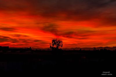 Silhouette trees against dramatic sky during sunset