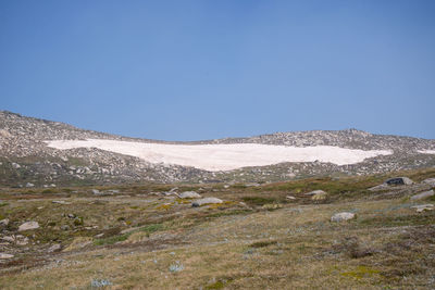 Scenic view of landscape against clear blue sky