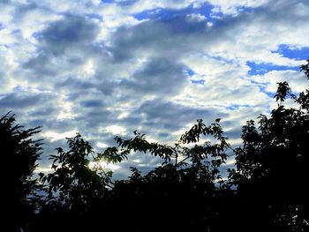 Low angle view of silhouette trees against sky