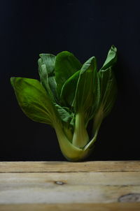 Siew pak choi vegetable on the wooden table on black background