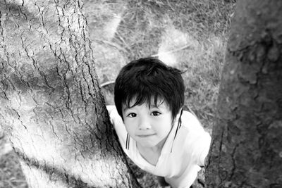 Portrait of boy standing on tree trunk