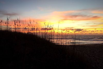 Scenic view of sea at sunset