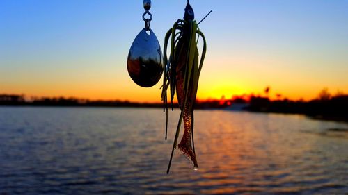 Close-up of silhouette plant against lake at sunset