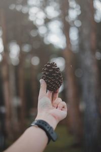 Close-up of hand holding ice cream cone outdoors