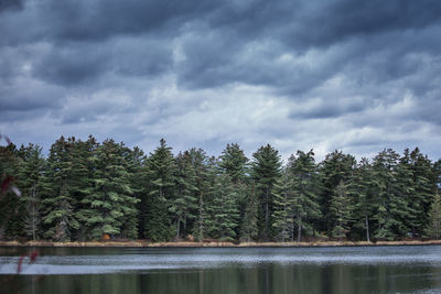 Trees by lake against sky