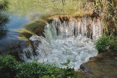 Scenic view of waterfall in forest