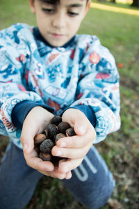 Boy holding chestnuts