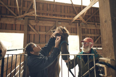 Man looking at female doctor examining horse in stable