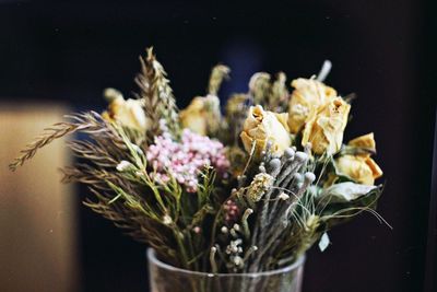 Close-up of bouquet on plant