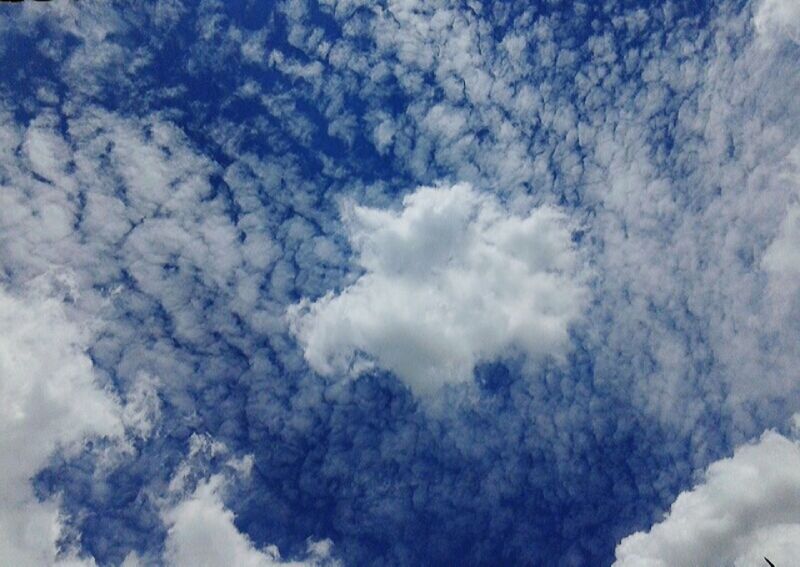 low angle view, sky, cloud - sky, cloudy, beauty in nature, tranquility, sky only, blue, backgrounds, nature, scenics, cloudscape, full frame, cloud, tranquil scene, white color, day, idyllic, weather, outdoors