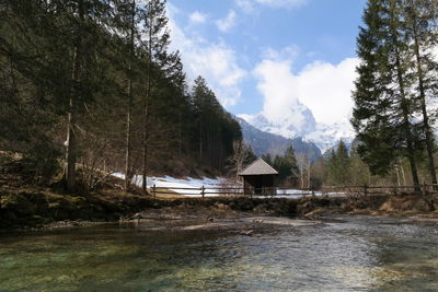 Scenic view of lake in forest against sky