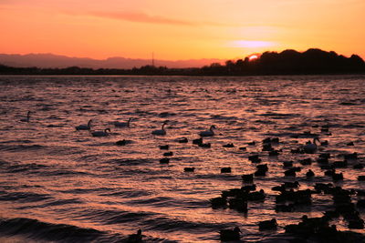 Scenic view of sea against sky during sunset