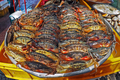 High angle view of fish in market