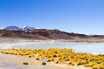 Scenic view of mountains against clear blue sky