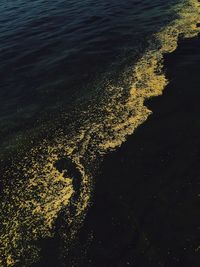 High angle view of rippled water