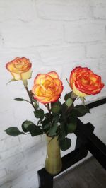 Close-up of rose flower vase on table