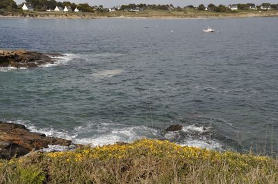 High angle view of sea shore