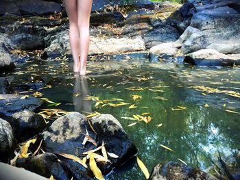 Low section of woman standing on rocks