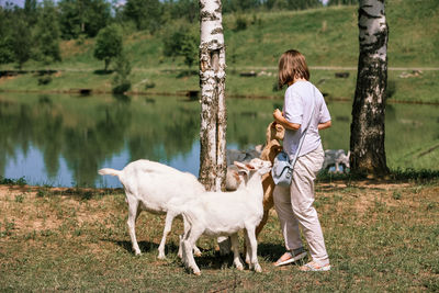 Girl feeds and plays with goats on a farm