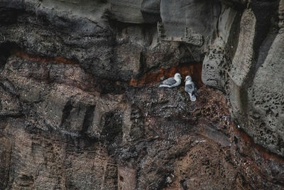 View of rock formation