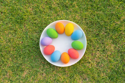 High angle view of pills on grassy field