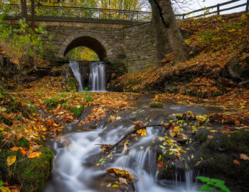 Stream flowing in forest during autumn