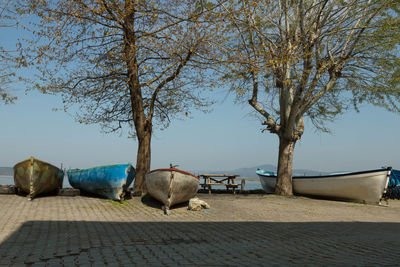 Boats by trees