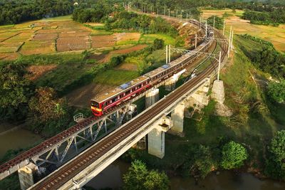 High angle view of railroad tracks amidst trees