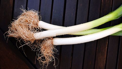 Close-up of food